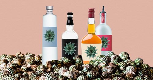 無酒精飲品如何實現“酒香四溢”？看國外酒企創新酒精飲料的三大路徑